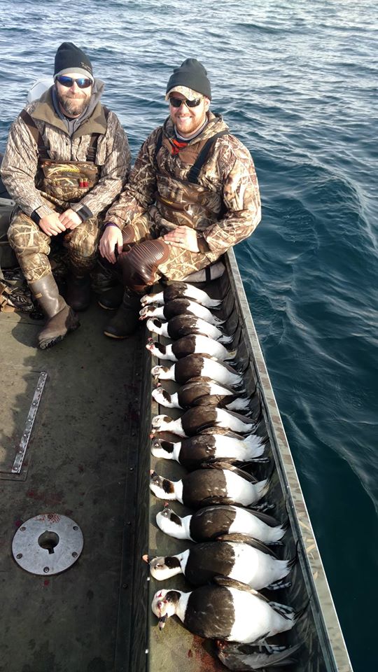 Long tail Old Squaw Duck Hunting Wisconsin