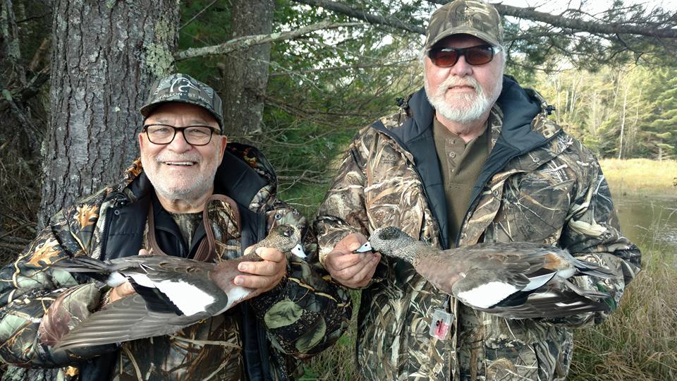 Gadwall and Wigeon Wisconsin