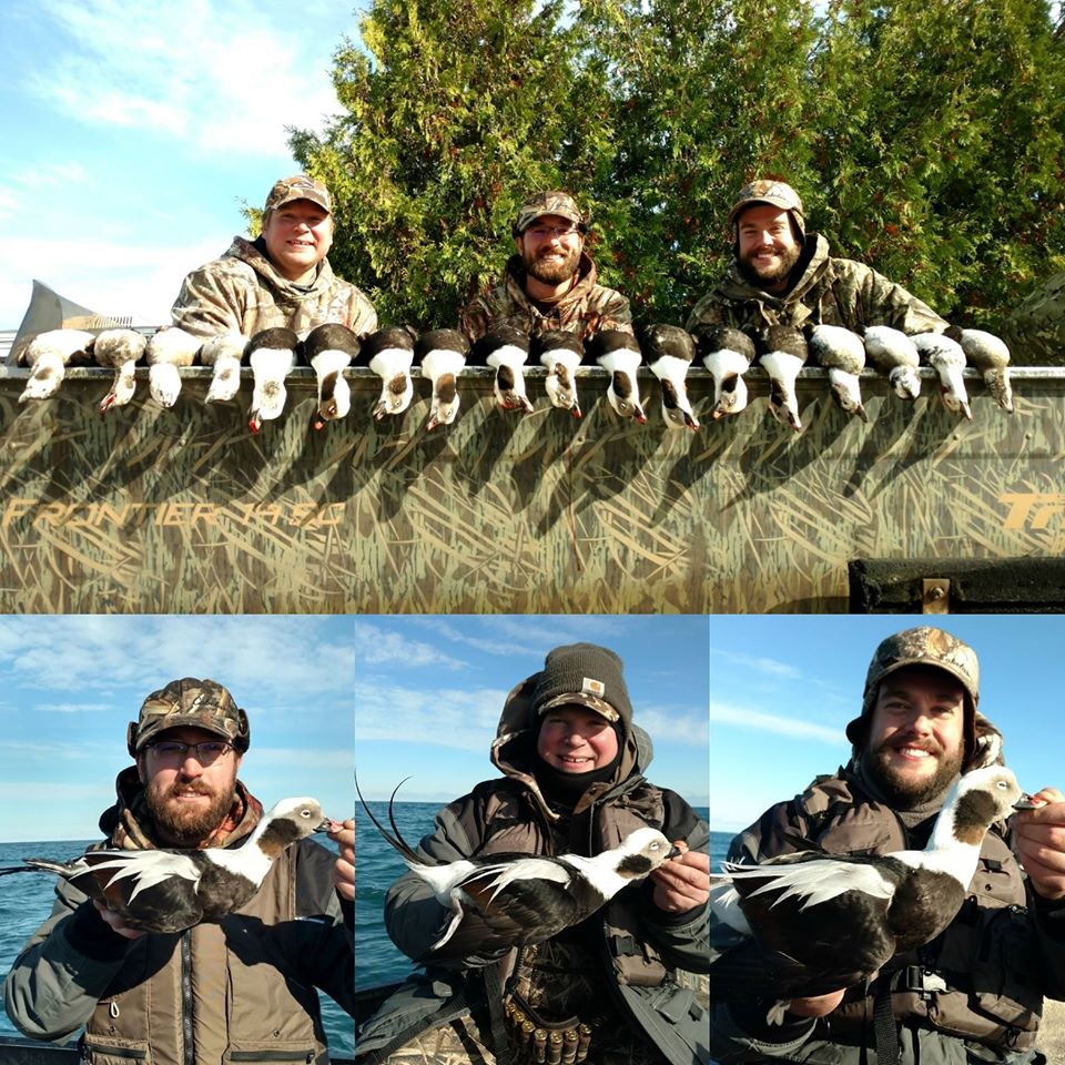 Old Squaw hunting Lake Michigan Guide Service