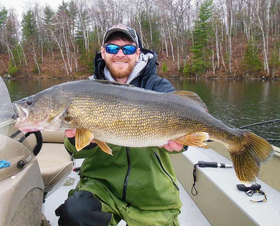 Lake Tomahawk Walleye Fishing Guide Jeff Van Remortel WDH Guide Service