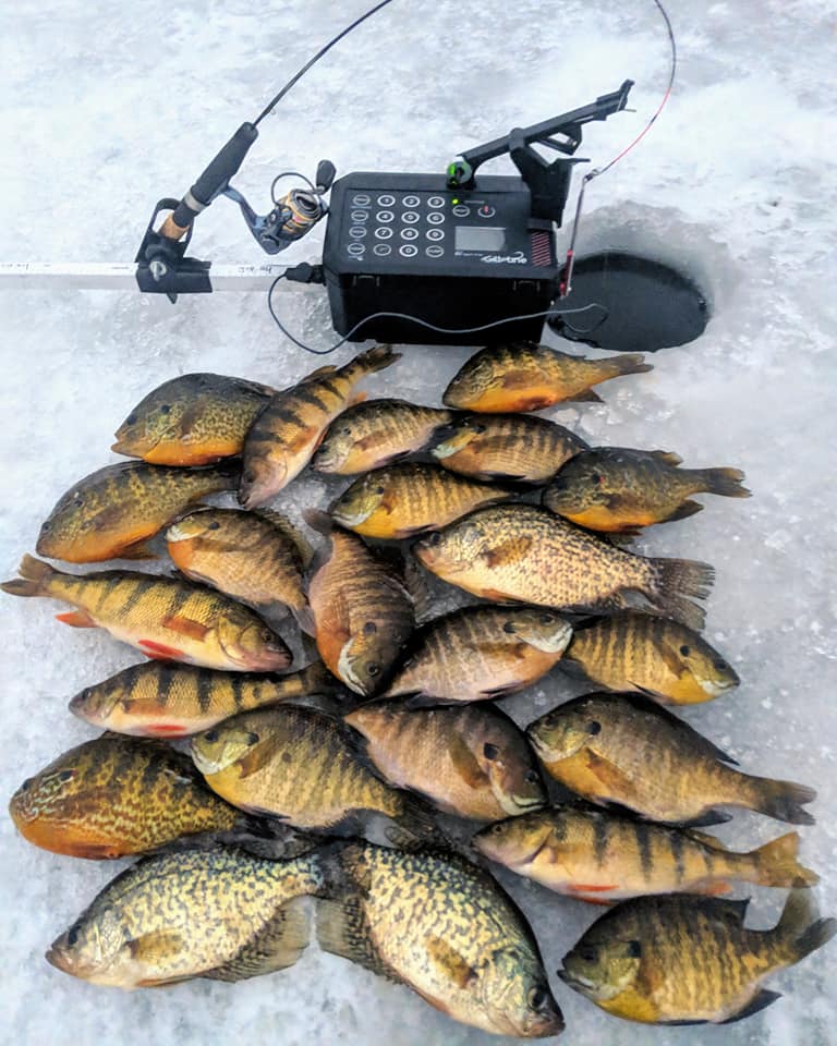 WDH Guide Service Wisconsin ice fishing trips