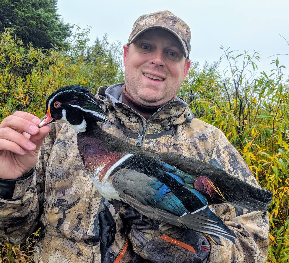 Drake Wood Duck