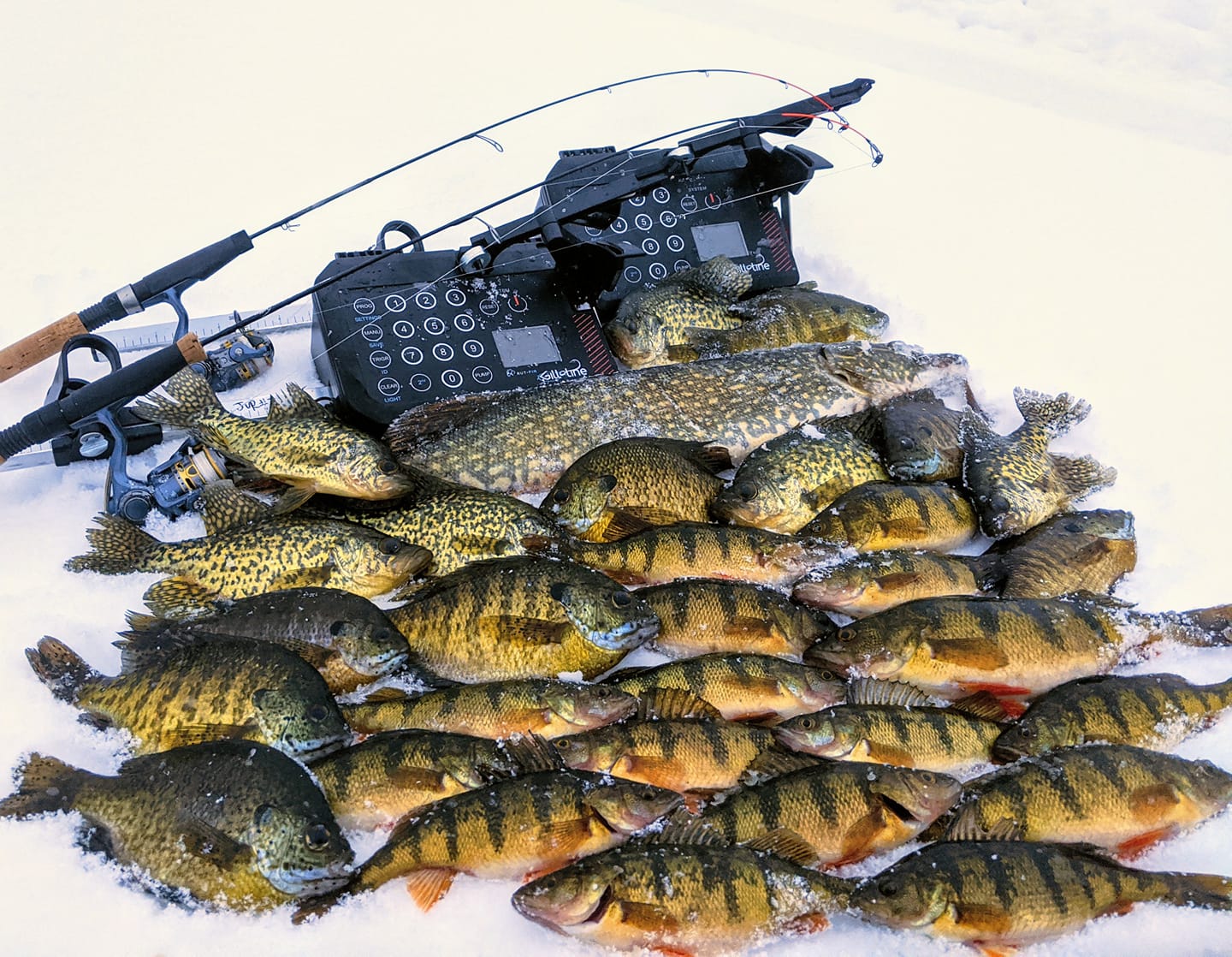 Wisconsin ice fishing guide Gill-o-tine Jeff Van Remortel