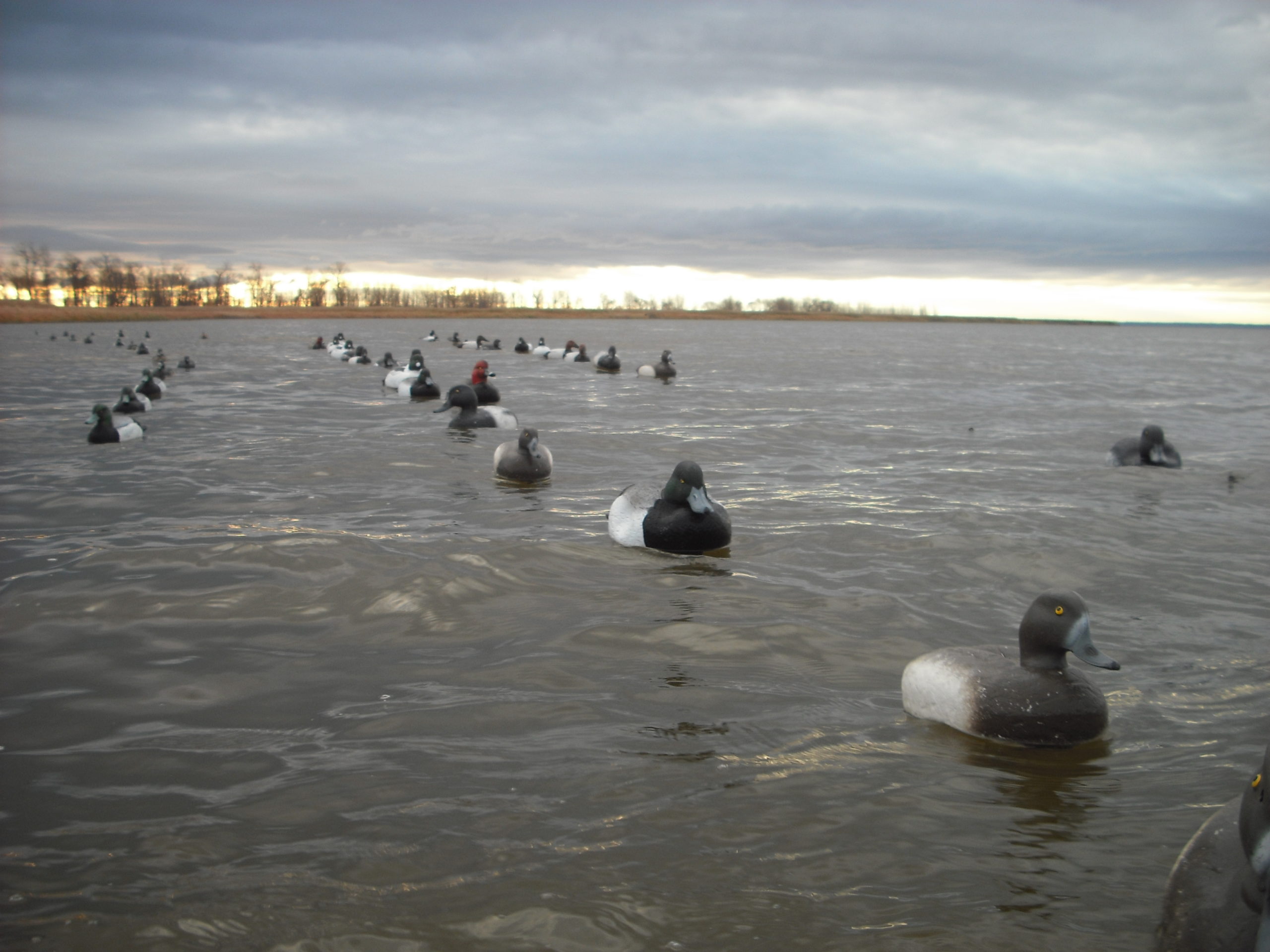 Layout Boat Hunting Green Bay