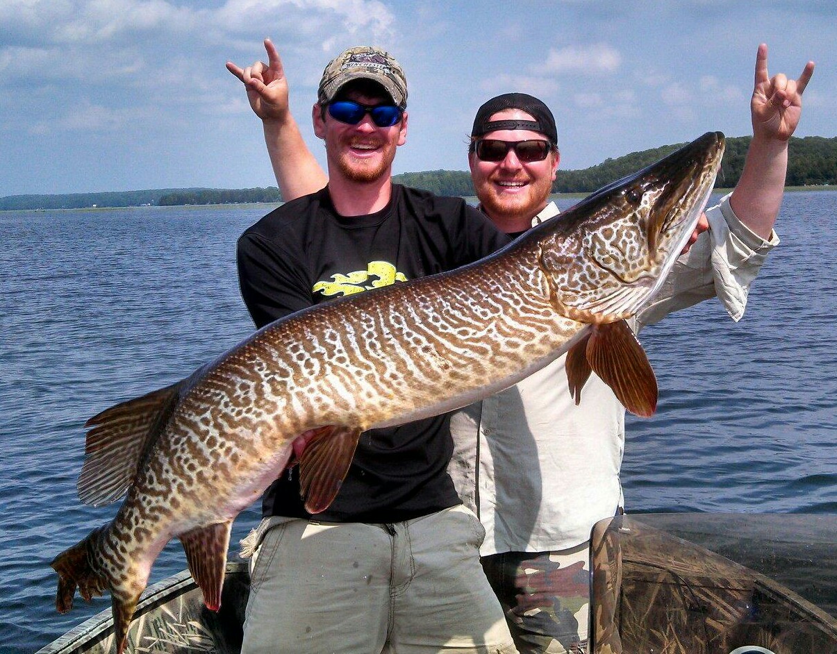 Wisconsin Musky Fishing Tiger Musky