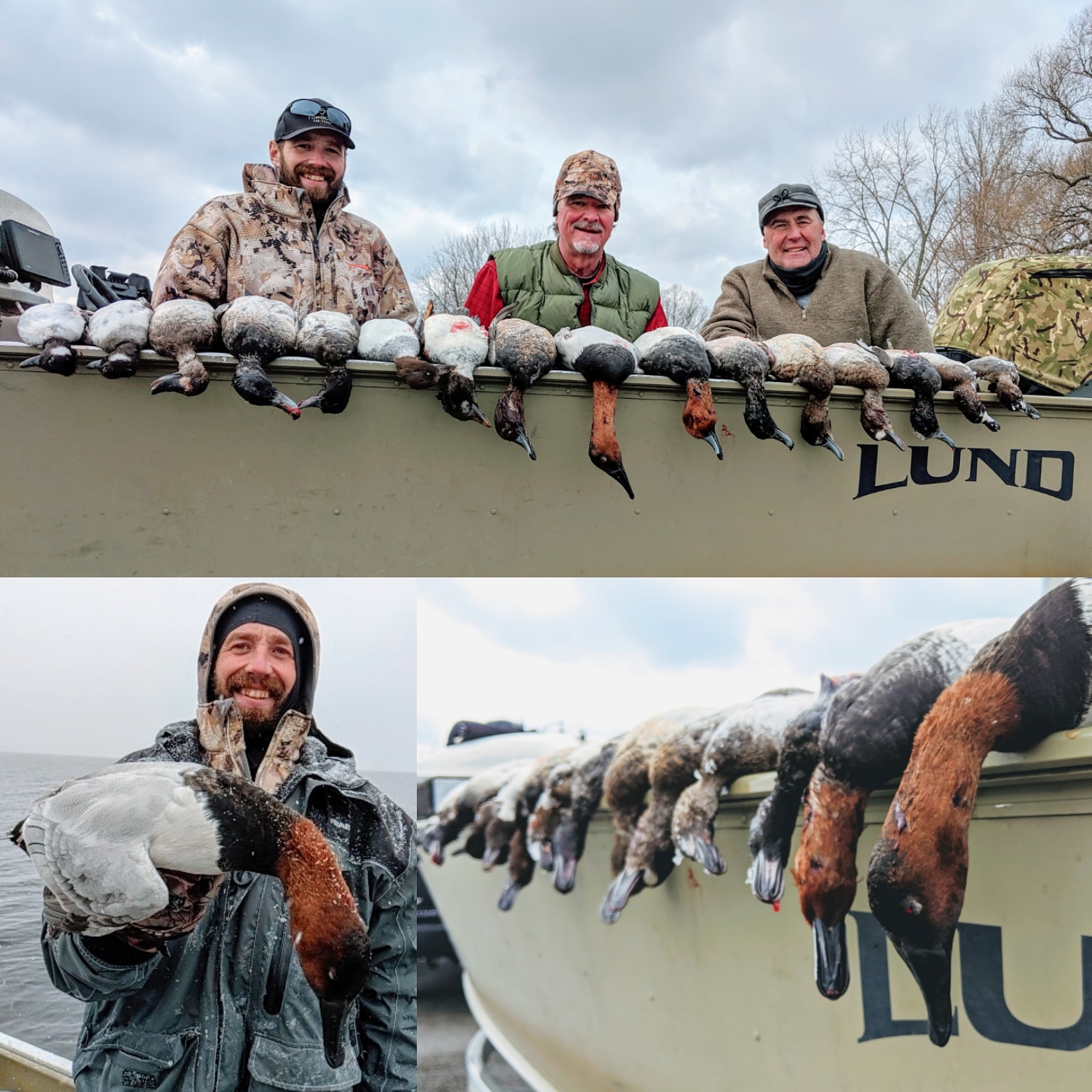 Canvasback duck hunting Wisconsin